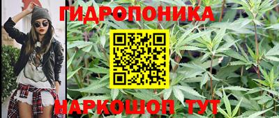 дурь Аргун